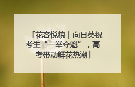 花容悦貌｜向日葵祝考生“一举夺魁”，高考带动鲜花热潮