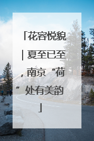 花容悦貌｜夏至已至，南京“荷”处有美韵
