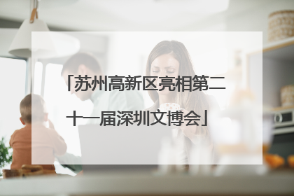 苏州高新区亮相第二十一届深圳文博会