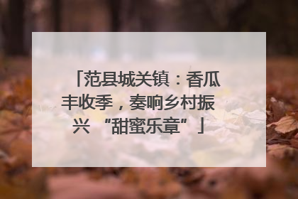 范县城关镇：香瓜丰收季，奏响乡村振兴 “甜蜜乐章”