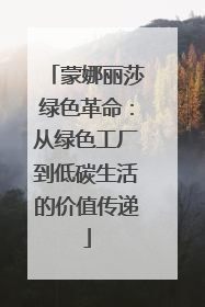 蒙娜丽莎绿色革命：从绿色工厂到低碳生活的价值传递