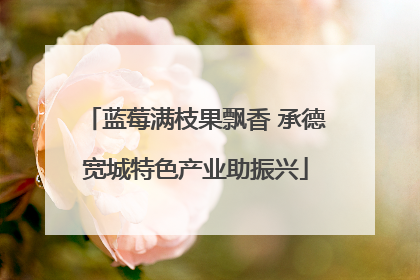 蓝莓满枝果飘香 承德宽城特色产业助振兴