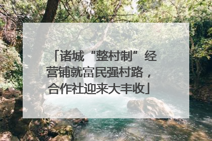 诸城“整村制”经营铺就富民强村路，合作社迎来大丰收