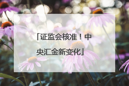 证监会核准！中央汇金新变化