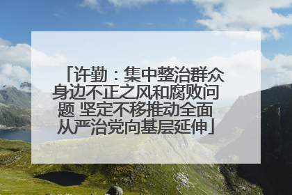 许勤：集中整治群众身边不正之风和腐败问题 坚定不移推动全面从严治党向基层延伸