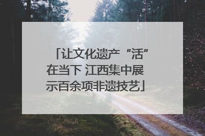 让文化遗产“活”在当下 江西集中展示百余项非遗技艺