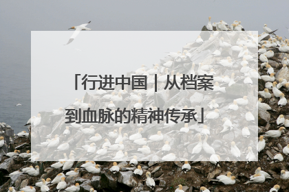 行进中国｜从档案到血脉的精神传承