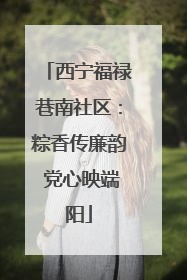 西宁福禄巷南社区：粽香传廉韵 党心映端阳