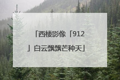 西楼影像「912」白云飘飘芒种天