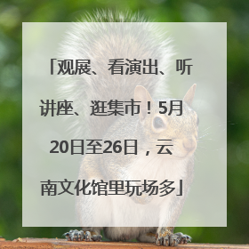 观展、看演出、听讲座、逛集市！5月20日至26日，云南文化馆里玩场多