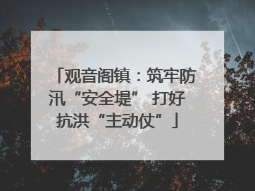 观音阁镇：筑牢防汛“安全堤” 打好抗洪“主动仗”