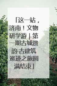 这一站，济南！文物研学游｜第一期古城遗韵·古建筑巡迹之旅圆满结束