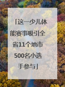这一少儿体能赛事吸引全省11个地市500名小选手参与