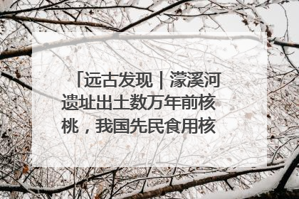 远古发现｜濛溪河遗址出土数万年前核桃，我国先民食用核桃历史大幅提前