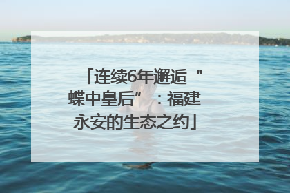连续6年邂逅“蝶中皇后”：福建永安的生态之约