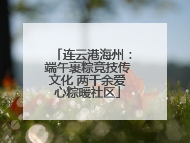 连云港海州：端午裹粽竞技传文化 两千余爱心粽暖社区