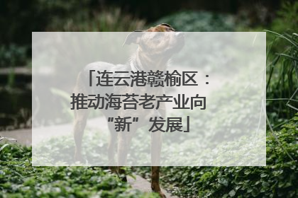 连云港赣榆区：推动海苔老产业向“新”发展
