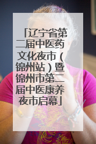 辽宁省第二届中医药文化夜市（锦州站）暨锦州市第二届中医康养夜市启幕