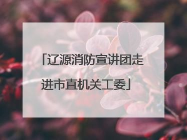 辽源消防宣讲团走进市直机关工委