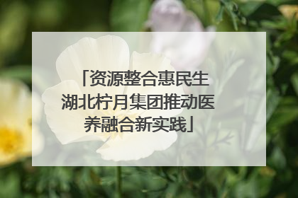 资源整合惠民生 湖北柠月集团推动医养融合新实践
