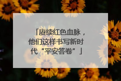 赓续红色血脉，他们这样书写新时代“平安答卷”
