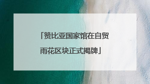 赞比亚国家馆在自贸雨花区块正式揭牌