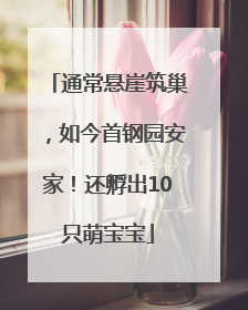 通常悬崖筑巢，如今首钢园安家！还孵出10只萌宝宝