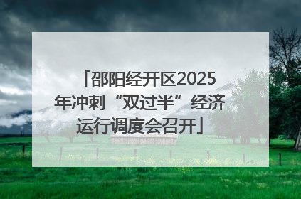 邵阳经开区2025年冲刺“双过半”经济运行调度会召开