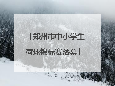 郑州市中小学生荷球锦标赛落幕