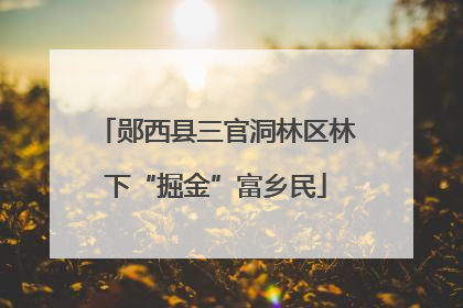 郧西县三官洞林区林下“掘金”富乡民