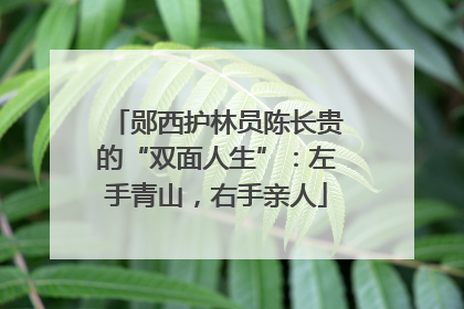 郧西护林员陈长贵的“双面人生”：左手青山，右手亲人