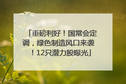 重磅利好！国常会定调，绿色制造风口来袭！12只潜力股曝光