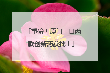 重磅！厦门一日两款创新药获批！