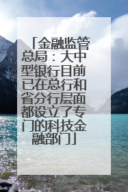 金融监管总局：大中型银行目前已在总行和省分行层面都设立了专门的科技金融部门