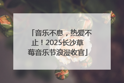 音乐不息，热爱不止！2025长沙草莓音乐节浪漫收官