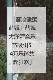 音浪激荡盐城！盐城大洋湾音乐节吸引5.4万乐迷共赴狂欢