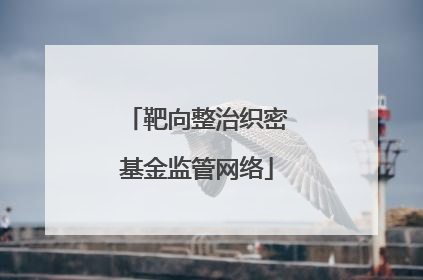 靶向整治织密基金监管网络
