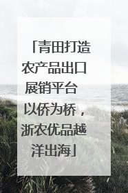 青田打造农产品出口展销平台 以侨为桥，浙农优品越洋出海