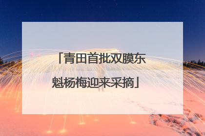 青田首批双膜东魁杨梅迎来采摘