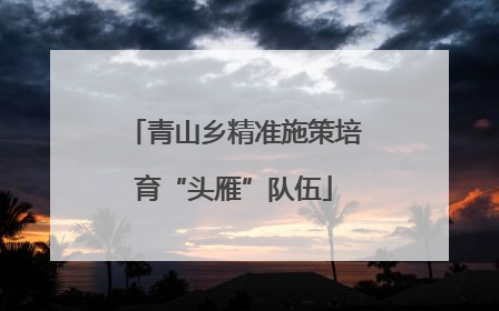 青山乡精准施策培育“头雁”队伍
