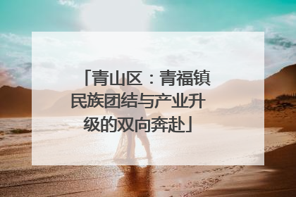 青山区：青福镇民族团结与产业升级的双向奔赴