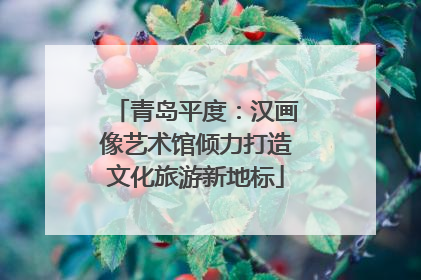 青岛平度：汉画像艺术馆倾力打造文化旅游新地标