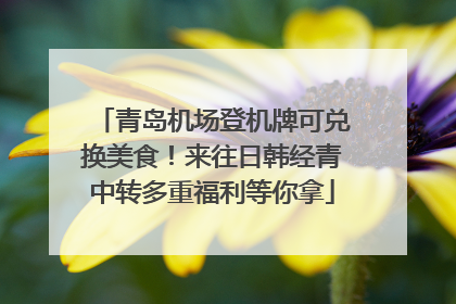 青岛机场登机牌可兑换美食！来往日韩经青中转多重福利等你拿