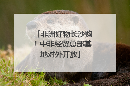 非洲好物长沙购！中非经贸总部基地对外开放