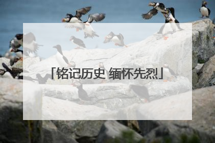 铭记历史 缅怀先烈