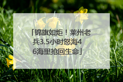 锦旗如炬！莱州老兵3.5小时怒海46海里抢回生命