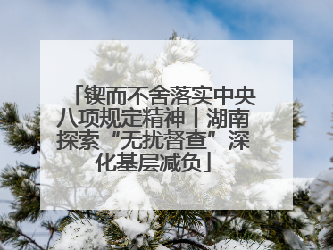 锲而不舍落实中央八项规定精神丨湖南探索“无扰督查”深化基层减负