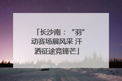 长沙南：“羽”动赛场展风采 汗洒征途竞锋芒