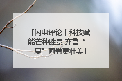 闪电评论｜科技赋能芒种胜景 齐鲁“三夏”画卷更壮美