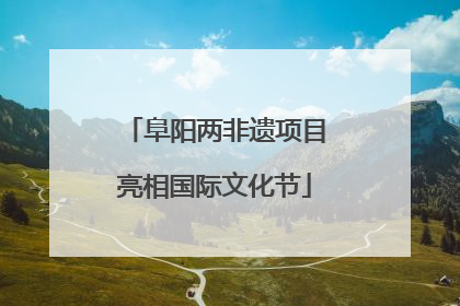 阜阳两非遗项目亮相国际文化节